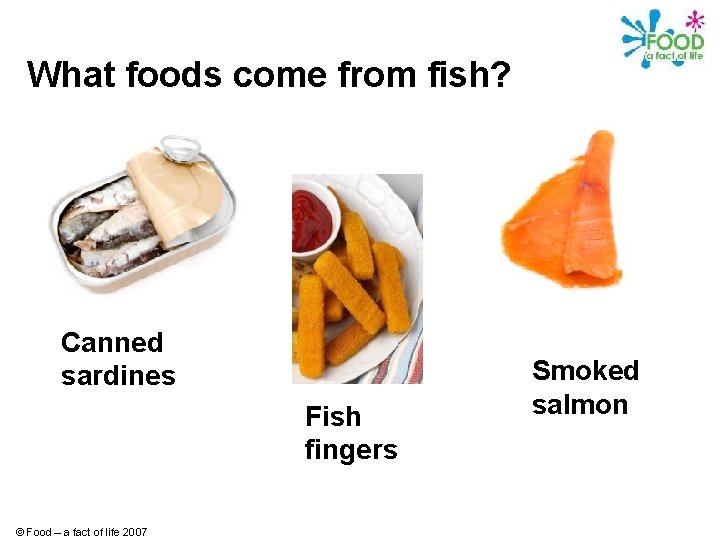 What foods come from fish? Canned sardines Fish fingers © Food – a fact