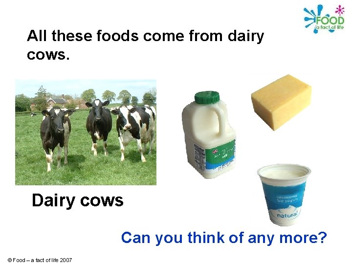 All these foods come from dairy cows. Dairy cows Can you think of any