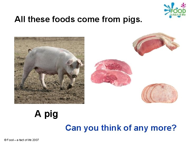 All these foods come from pigs. A pig Can you think of any more?