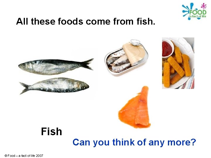 All these foods come from fish. Fish © Food – a fact of life