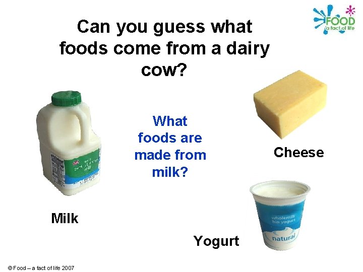 Can you guess what foods come from a dairy cow? What foods are made