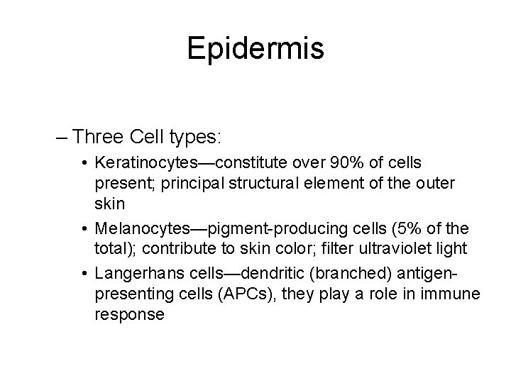 Epidermis – Three Cell types: • Keratinocytes—constitute over 90% of cells present; principal structural