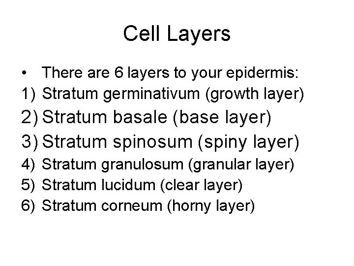 Cell Layers • There are 6 layers to your epidermis: 1) Stratum germinativum (growth