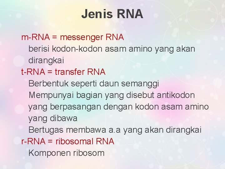 Jenis RNA m-RNA = messenger RNA berisi kodon-kodon asam amino yang akan dirangkai t-RNA