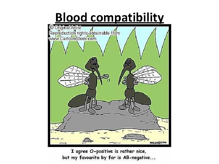 Blood compatibility 