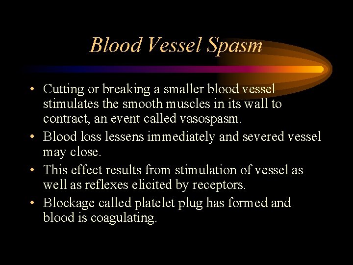 Blood Vessel Spasm • Cutting or breaking a smaller blood vessel stimulates the smooth