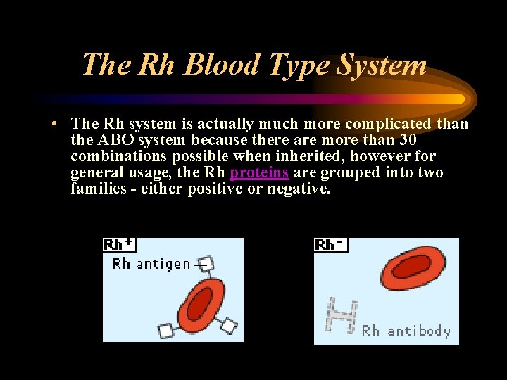 The Rh Blood Type System • The Rh system is actually much more complicated