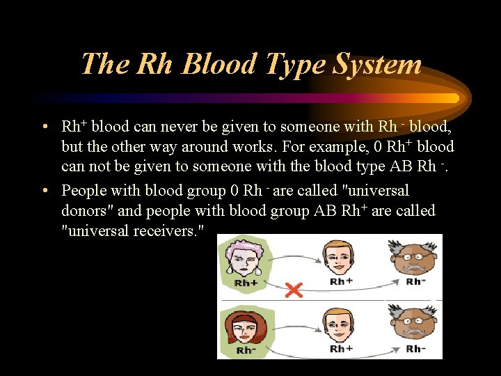 The Rh Blood Type System • Rh+ blood can never be given to someone