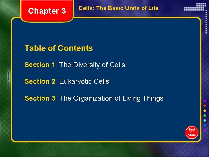Chapter 3 Cells: The Basic Units of Life Table of Contents Section 1 The