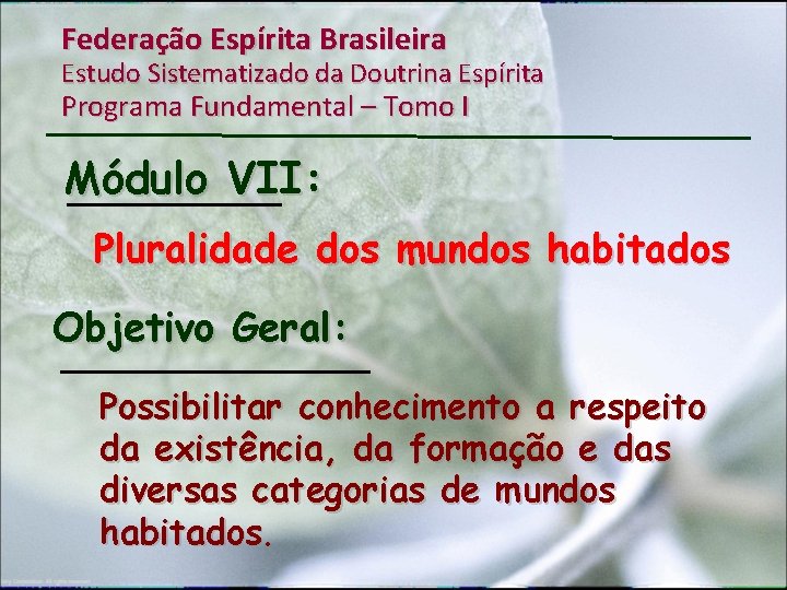 Federação Espírita Brasileira Estudo Sistematizado da Doutrina Espírita Programa Fundamental – Tomo I Módulo