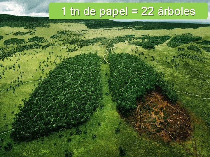 1 tn de papel = 22 árboles 