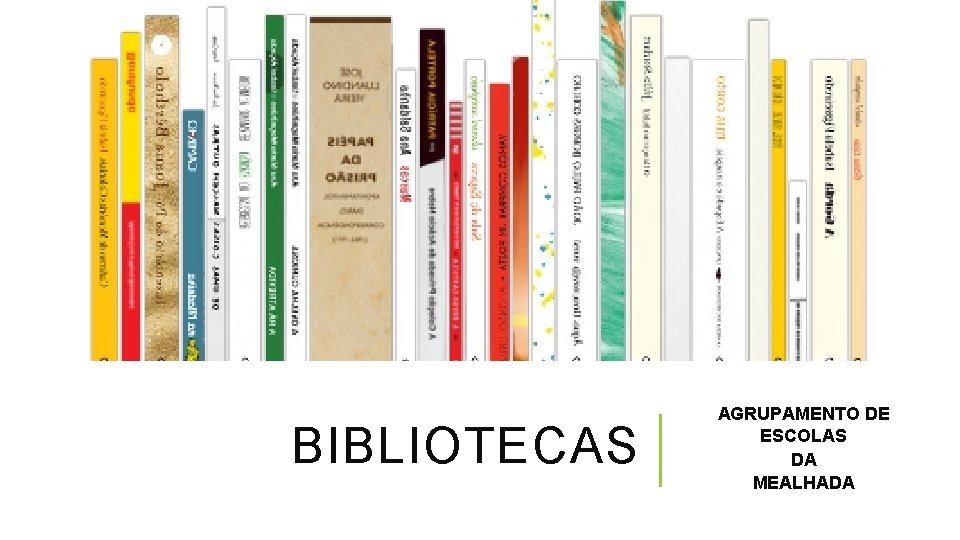 BIBLIOTECAS AGRUPAMENTO DE ESCOLAS DA MEALHADA 