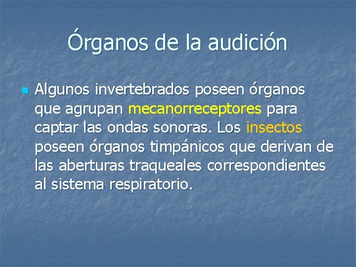 Órganos de la audición n Algunos invertebrados poseen órganos que agrupan mecanorreceptores para captar