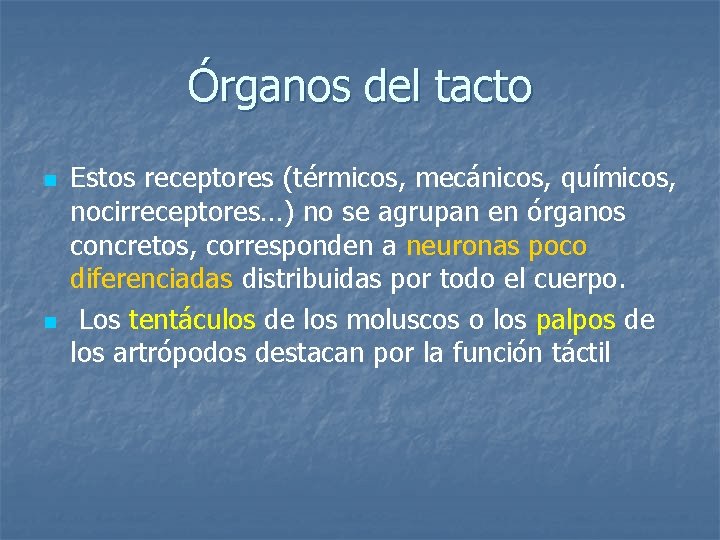 Órganos del tacto n n Estos receptores (térmicos, mecánicos, químicos, nocirreceptores…) no se agrupan