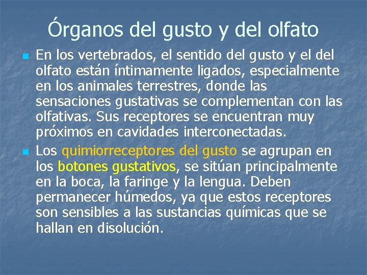 Órganos del gusto y del olfato n n En los vertebrados, el sentido del