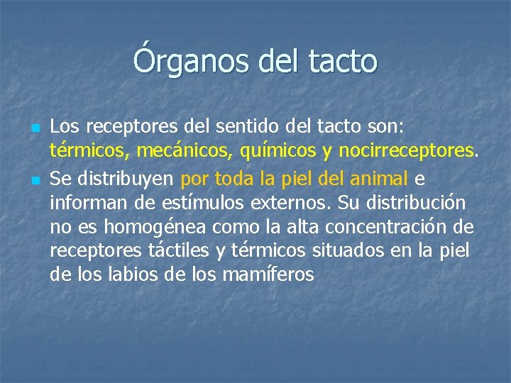 Órganos del tacto n n Los receptores del sentido del tacto son: térmicos, mecánicos, Órganos del tacto n n Los receptores del sentido del tacto son: térmicos, mecánicos,