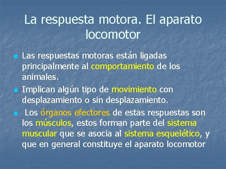 La respuesta motora. El aparato locomotor n n n Las respuestas motoras están ligadas