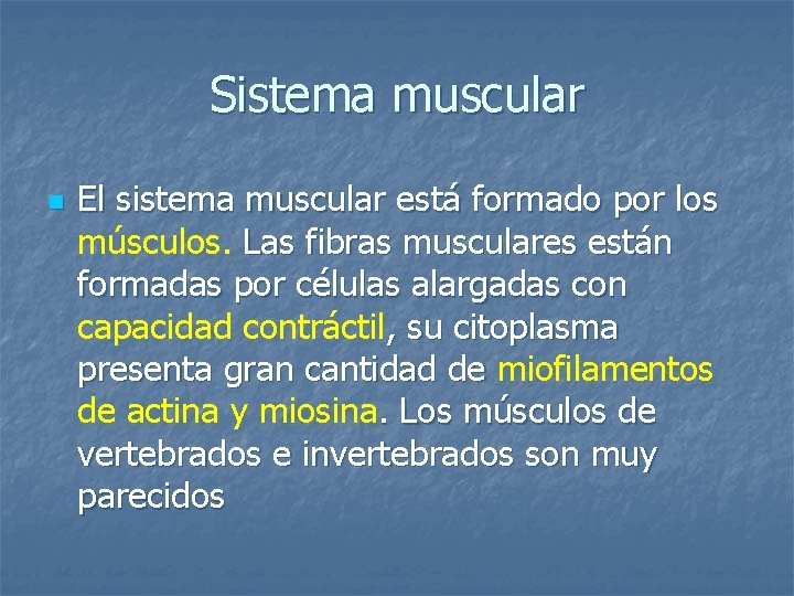 Sistema muscular n El sistema muscular está formado por los músculos. Las fibras musculares