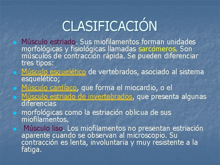 CLASIFICACIÓN n n n Músculo estriado. Sus miofilamentos forman unidades morfológicas y fisiológicas llamadas CLASIFICACIÓN n n n Músculo estriado. Sus miofilamentos forman unidades morfológicas y fisiológicas llamadas