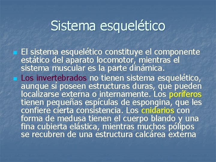 Sistema esquelético n n El sistema esquelético constituye el componente estático del aparato locomotor,