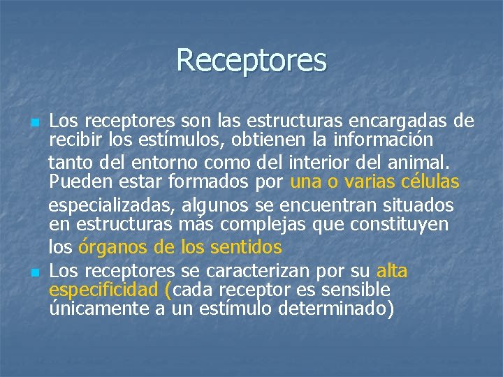 Receptores n n Los receptores son las estructuras encargadas de recibir los estímulos, obtienen