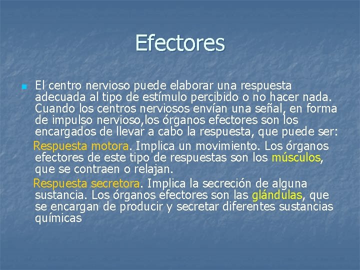 Efectores n El centro nervioso puede elaborar una respuesta adecuada al tipo de estímulo