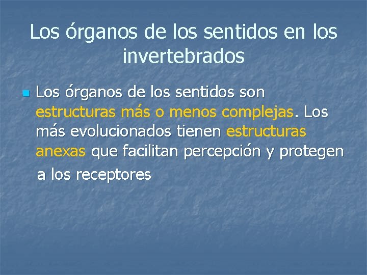 Los órganos de los sentidos en los invertebrados n Los órganos de los sentidos Los órganos de los sentidos en los invertebrados n Los órganos de los sentidos
