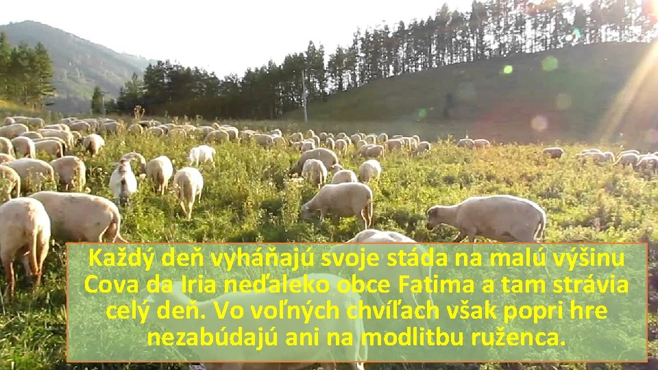 Každý deň vyháňajú svoje stáda na malú výšinu Cova da Iria neďaleko obce Fatima