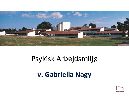 Psykisk Arbejdsmiljø v. Gabriella Nagy 