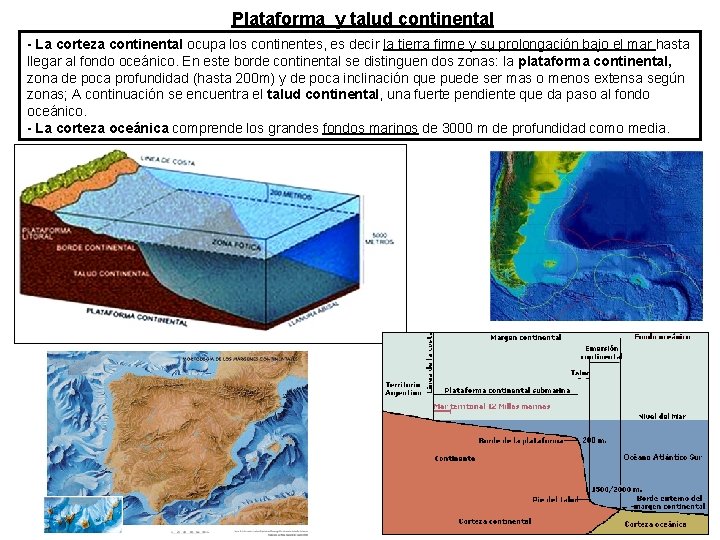 Plataforma y talud continental - La corteza continental ocupa los continentes, es decir la