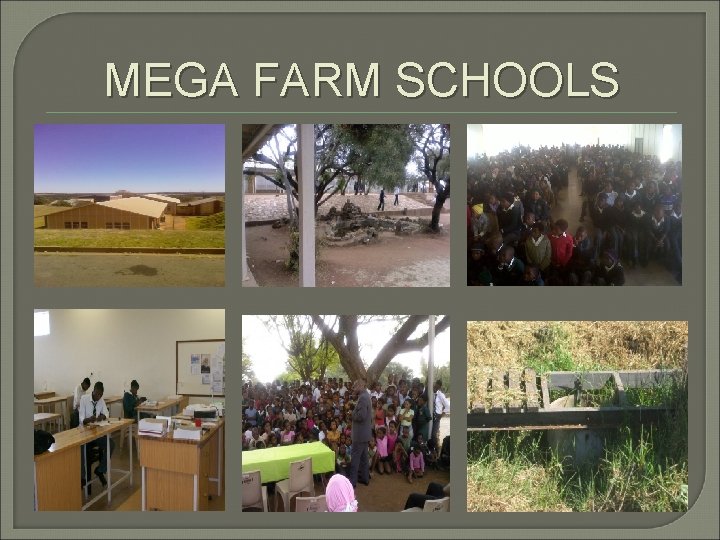 MEGA FARM SCHOOLS 