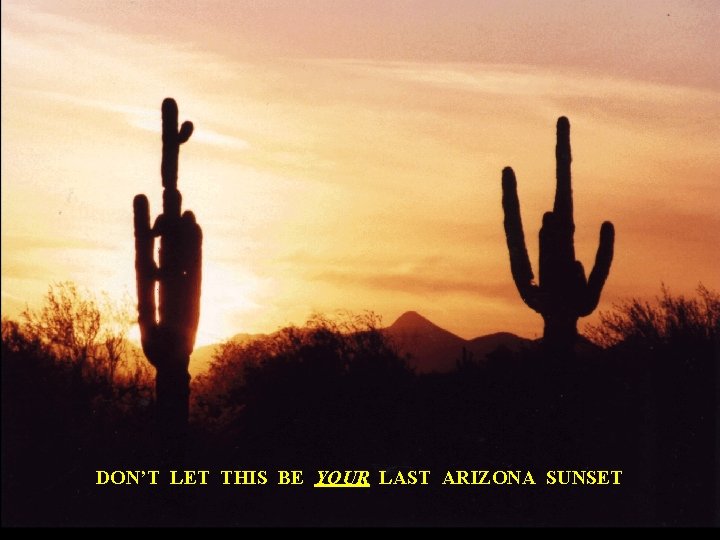 DON’T LET THIS BE YOUR LAST ARIZONA SUNSET 