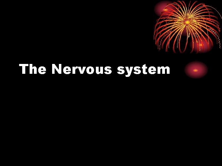 The Nervous system The Nervous system