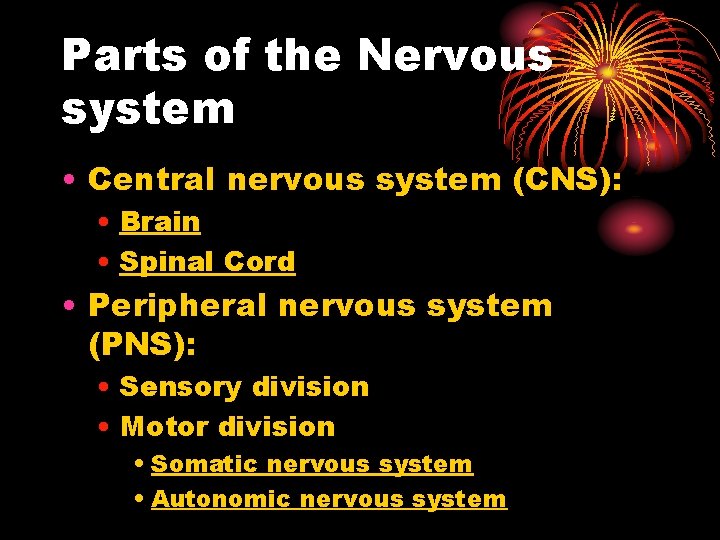 Parts of the Nervous system • Central nervous system (CNS): • Brain • Spinal Parts of the Nervous system • Central nervous system (CNS): • Brain • Spinal