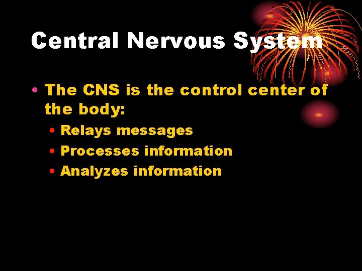 Central Nervous System • The CNS is the control center of the body: • Central Nervous System • The CNS is the control center of the body: •