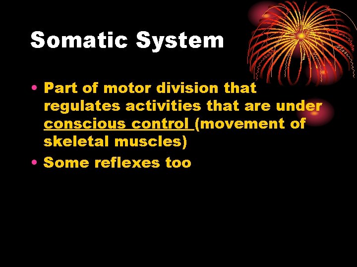 Somatic System • Part of motor division that regulates activities that are under conscious Somatic System • Part of motor division that regulates activities that are under conscious