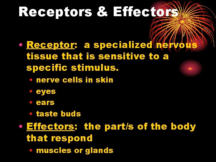 Receptors & Effectors • Receptor: a specialized nervous tissue that is sensitive to a Receptors & Effectors • Receptor: a specialized nervous tissue that is sensitive to a