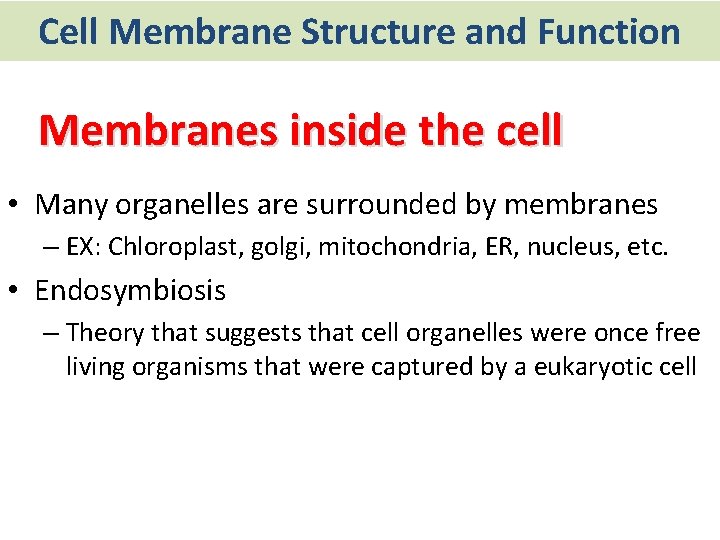 Cell Membrane Structure and Function Membranes inside the cell • Many organelles are surrounded