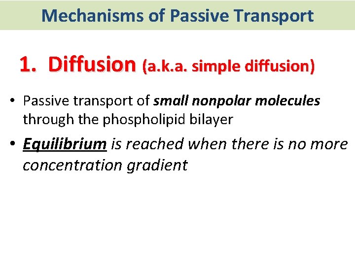 Mechanisms of Passive Transport 1. Diffusion (a. k. a. simple diffusion) • Passive transport