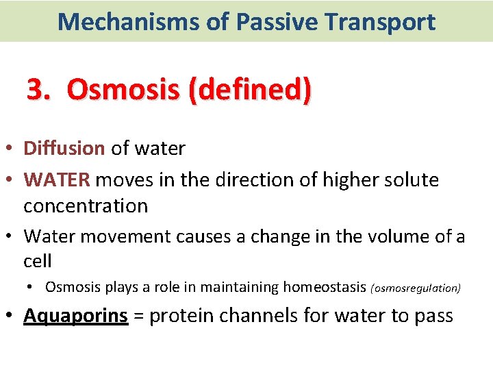 Mechanisms of Passive Transport 3. Osmosis (defined) • Diffusion of water • WATER moves