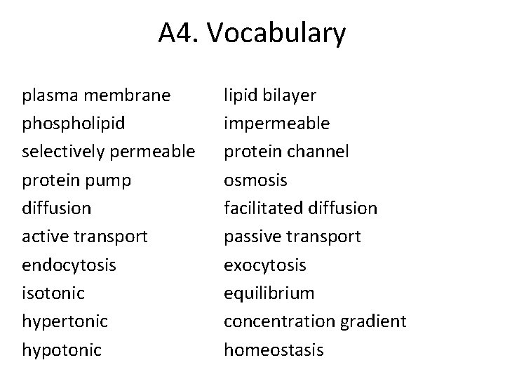 A 4. Vocabulary plasma membrane phospholipid selectively permeable protein pump diffusion active transport endocytosis