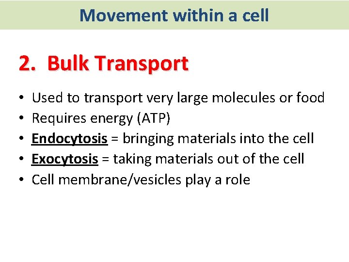 Movement within a cell 2. Bulk Transport • • • Used to transport very