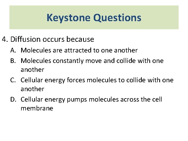 Keystone Questions 4. Diffusion occurs because A. Molecules are attracted to one another B.