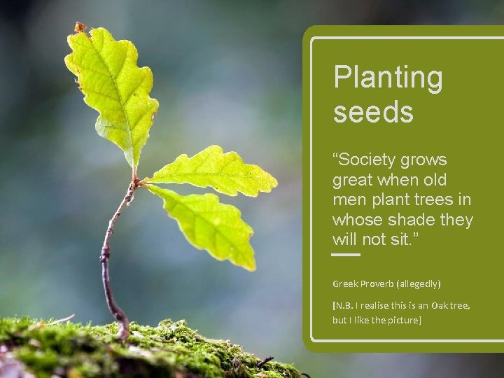 Planting seeds “Society grows great when old men plant trees in whose shade they Planting seeds “Society grows great when old men plant trees in whose shade they
