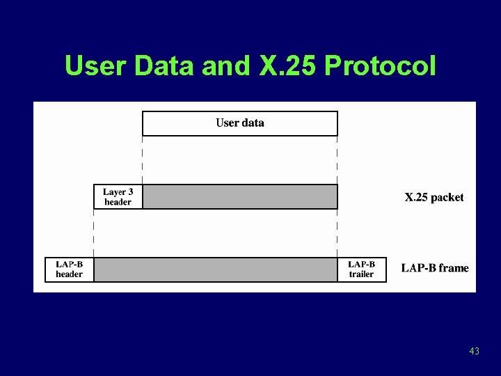 User Data and X. 25 Protocol 43 