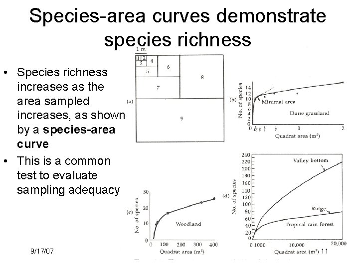 Species-area curves demonstrate species richness • Species richness increases as the area sampled increases,