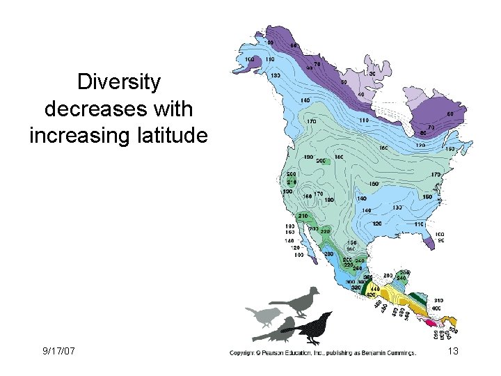 Diversity decreases with increasing latitude 9/17/07 13 