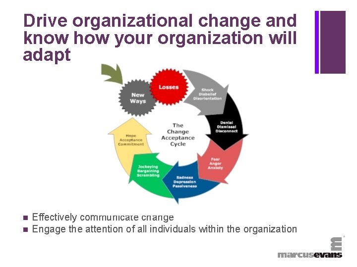 + Drive organizational change and know how your organization will adapt n n Effectively