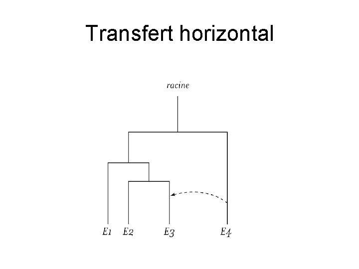 Transfert horizontal 