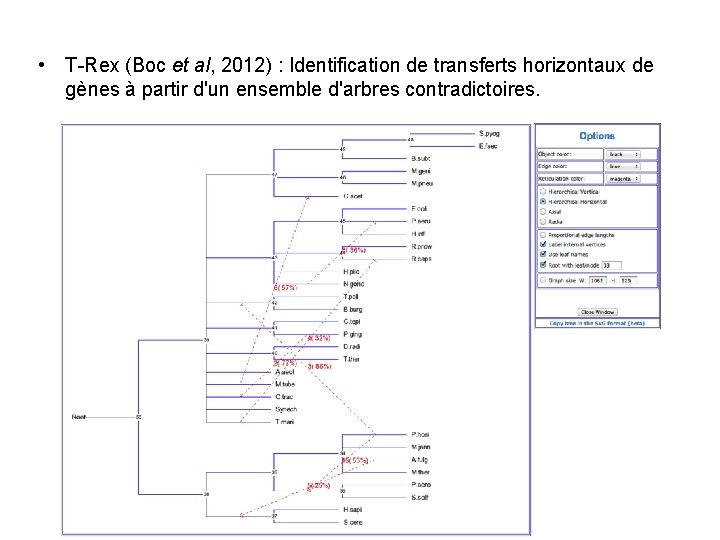  • T-Rex (Boc et al, 2012) : Identification de transferts horizontaux de gènes